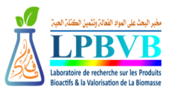 LPBVB Logo